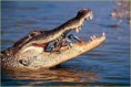 /album/fenykepgaleria/images-10-jpg/